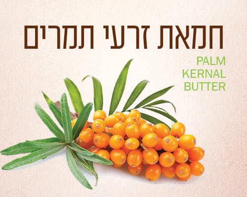 מיקס חמאת זרעי תמרים וחמאת קוקוס טבעית ואיכותית במיוחד